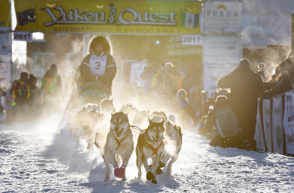 Yukon Quest start Whitehorse Feb4/17
